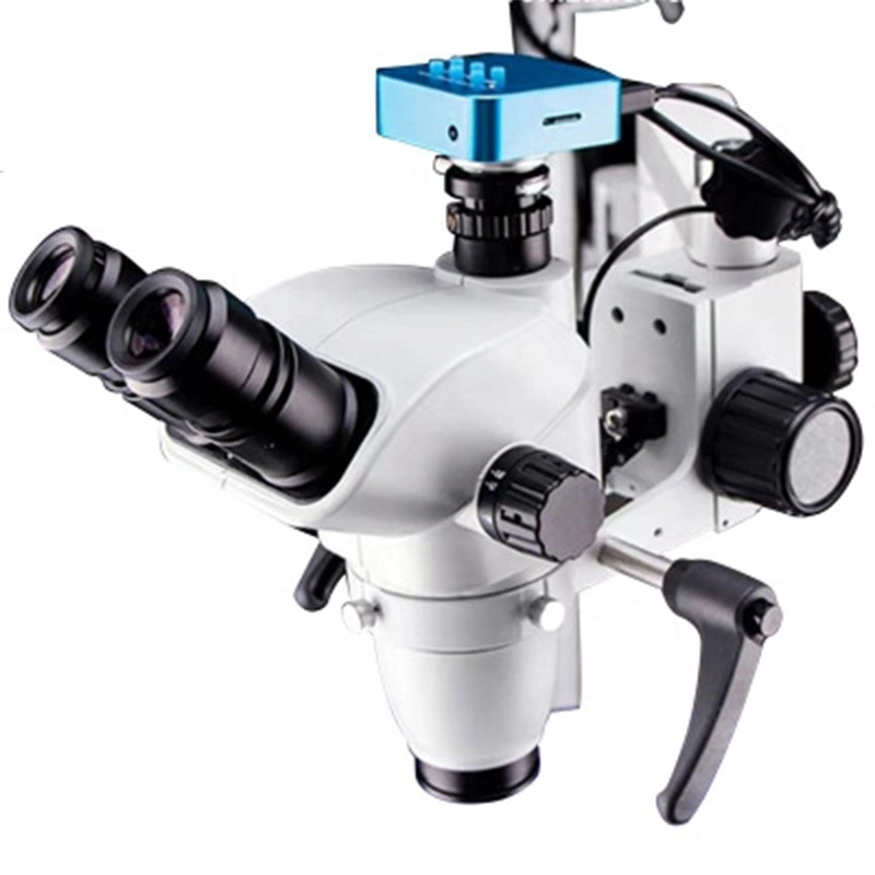 0-180degré LED binoculaire de chirurgie dentaire Microscope ent l'opération