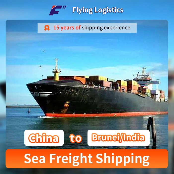 China Professional Sea Freight Agent DDP Shipping to Brunei India Sea Logistics Service