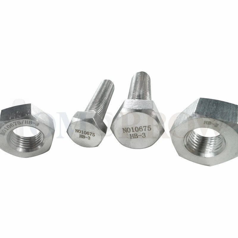 Exotic Alloy Hastelloy B3 Fastener