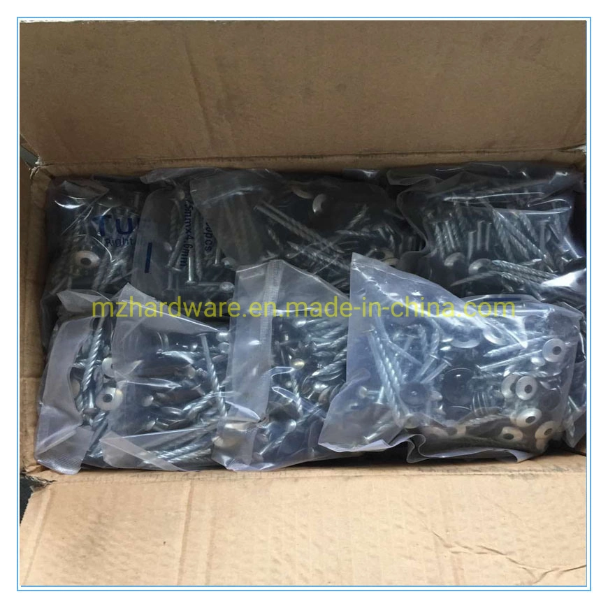 Umbrella Head Twisted Shank or Smooth Shank 9g*2.5&prime; &prime; Roofing Nails with Rubber Washer for South Africa