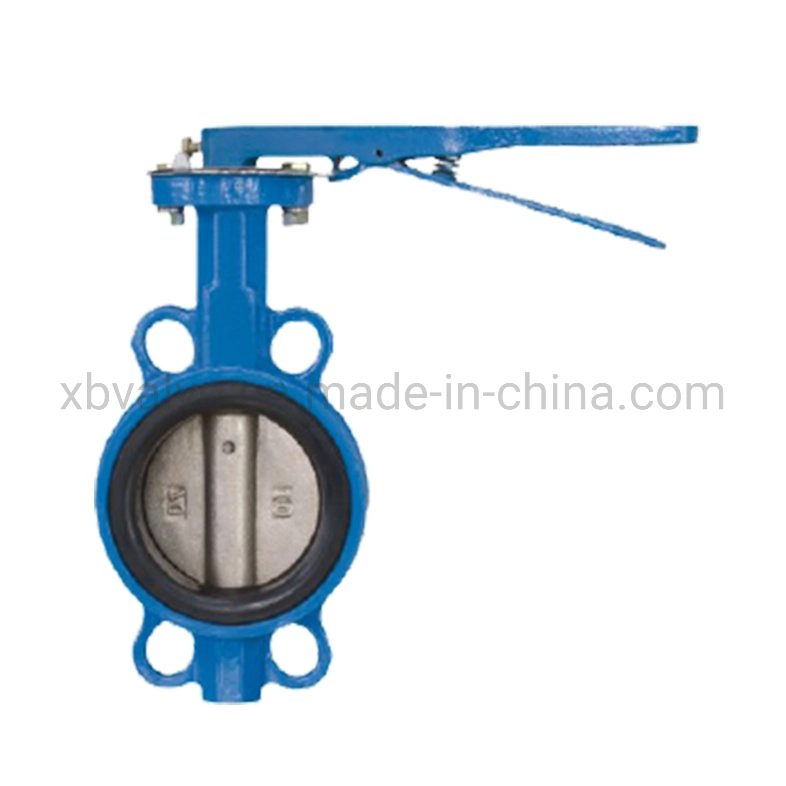 China Manufacturer of PTFE PFA Coaed Disc CF8 CF8m SS304 SS316 Wcb Bronze API ANSI DIN JIS BS Standard Control Butterfly Valve Gate Valve Check Valve Y Strainer