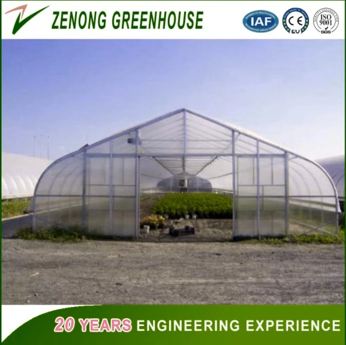 UV Treated Durable Plastic Film Covered Greenhouse for Agriculture Cultivation/Hydroponics/Growing Vegetables/Fruits/Flowers