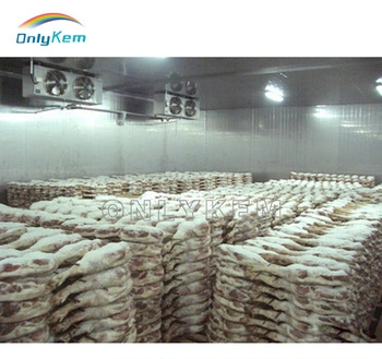 Ce Improved Frozen Fish Cold Storage for Sea Food