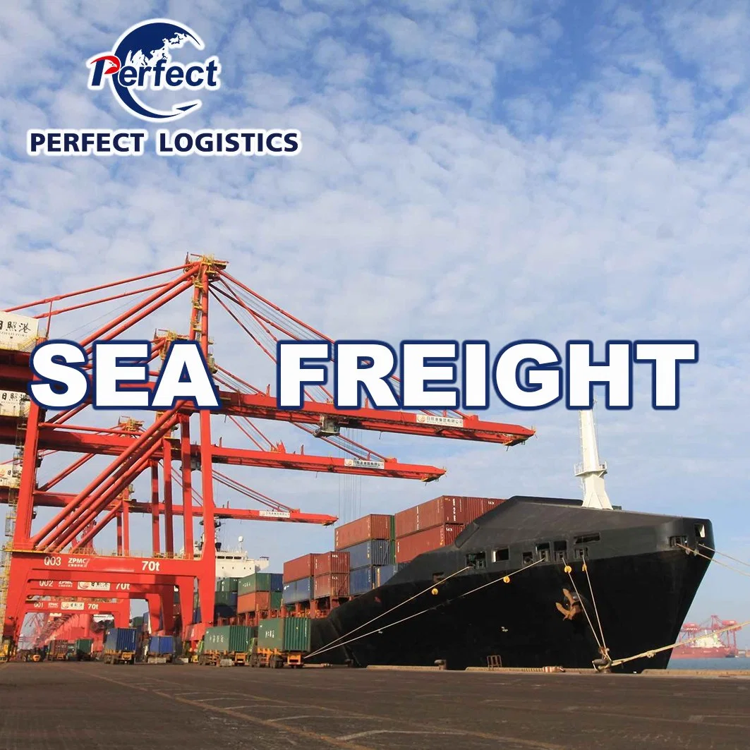 Top 3 Logistics Company DDP Door to Do Sea Shipping From China to USA Professional Sea Freight Forwarder USA Canada Fba 20days