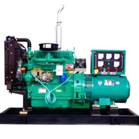 CE ISO 3 Phase Silent 25kw Mini Coal Power Plant Generator Hotel