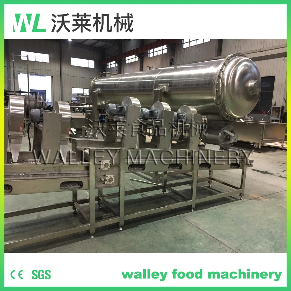 Vegetable Steam Cooker Spiral Blanching Machine for Fruit