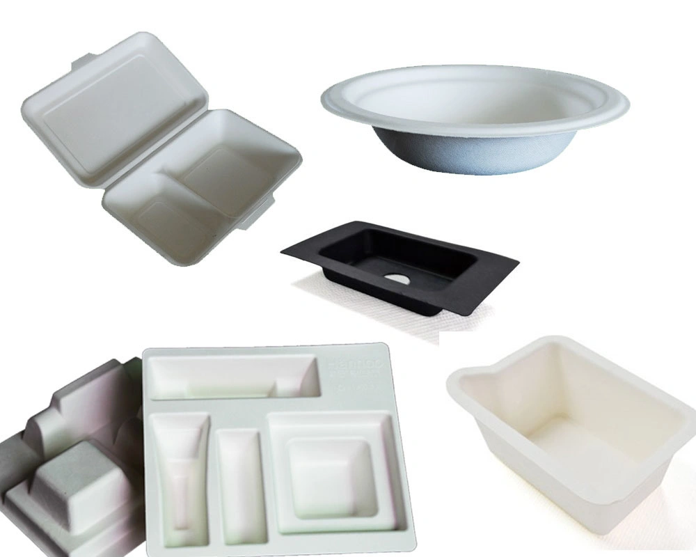 Customized High quality/High cost performance  Compostable Biodegraded Bagasse Protective Molded Pulp Packaging