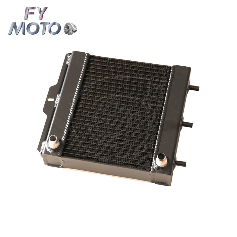 China Manufacture for BMW M3 Black Aluminum Radiator