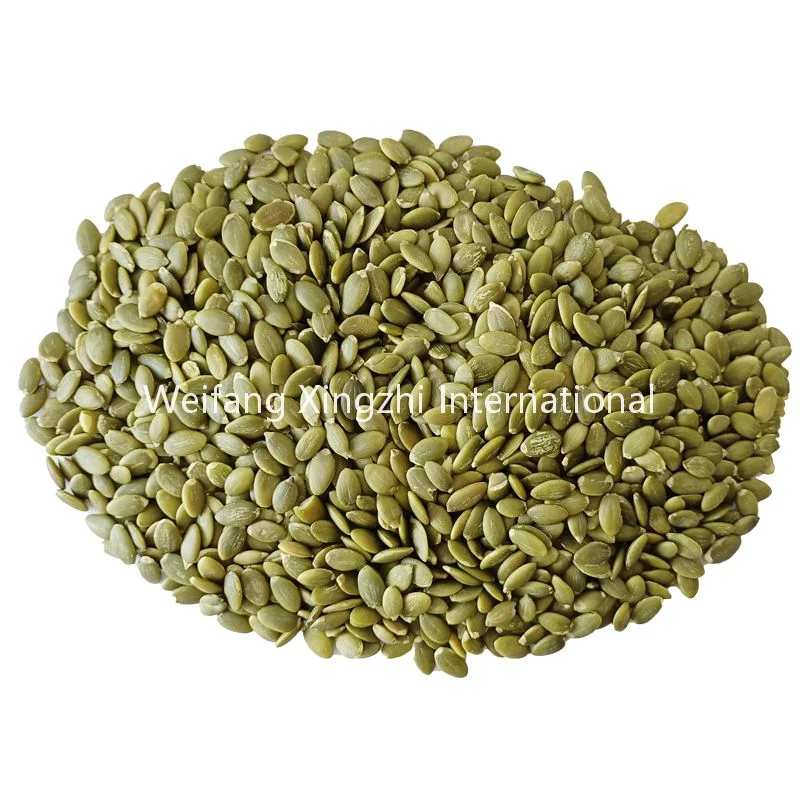 Cheap Price Export Standard New Crop Shine Skin Pumpkin Seeds Without Shell