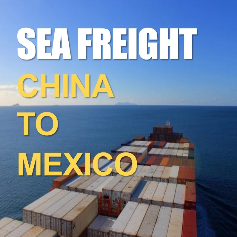 Sea Freight Logistics From Qingdao to Manzanillo