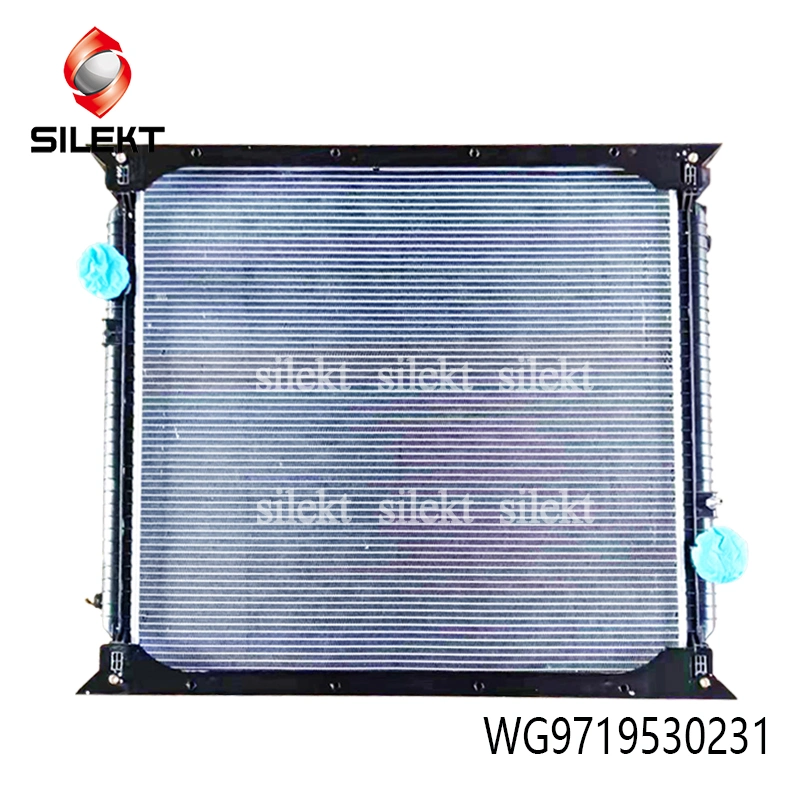 Wg9719530231 Water Tank Radiator Assembly HOWO Aluminum Intercooler for Sinotruck Truck Spare Parts