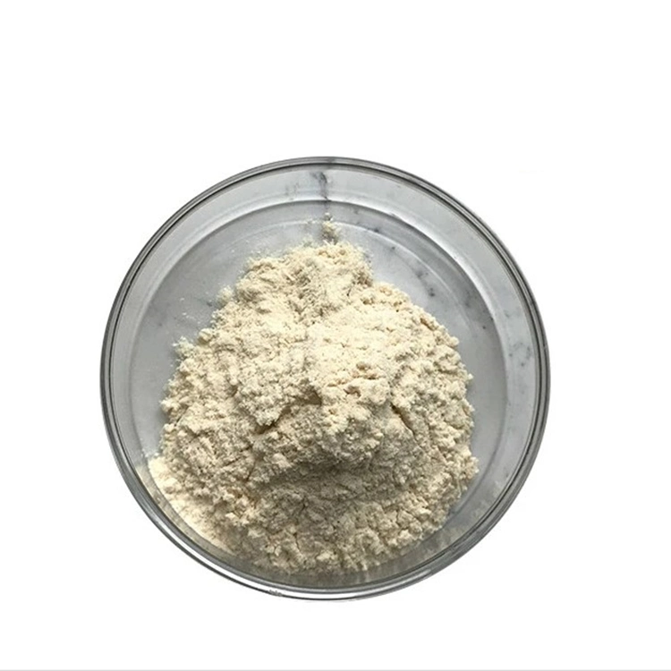 Healthy Additives Water Soluble Organic Natural 99% Pure Protein Soybean Peptide Powder