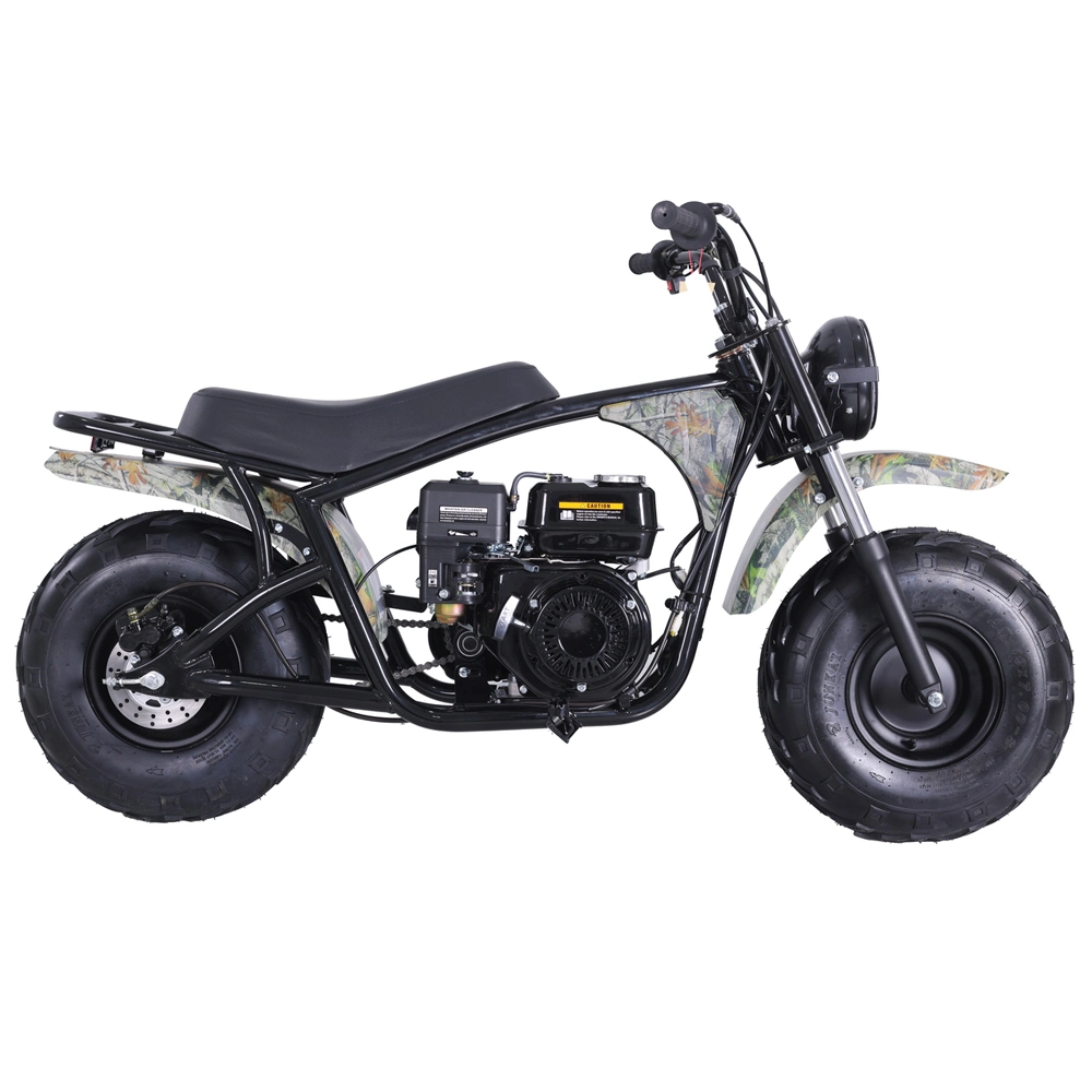 Tao Motor 200cc Mini Moto Motorcycle Dirt Bike