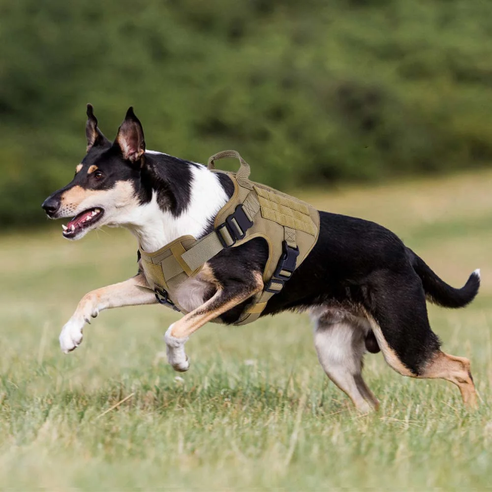 Tactical Dog Harness Vest Military Working Dog Molle Vest No-Pull Training Harness for Large Breeds