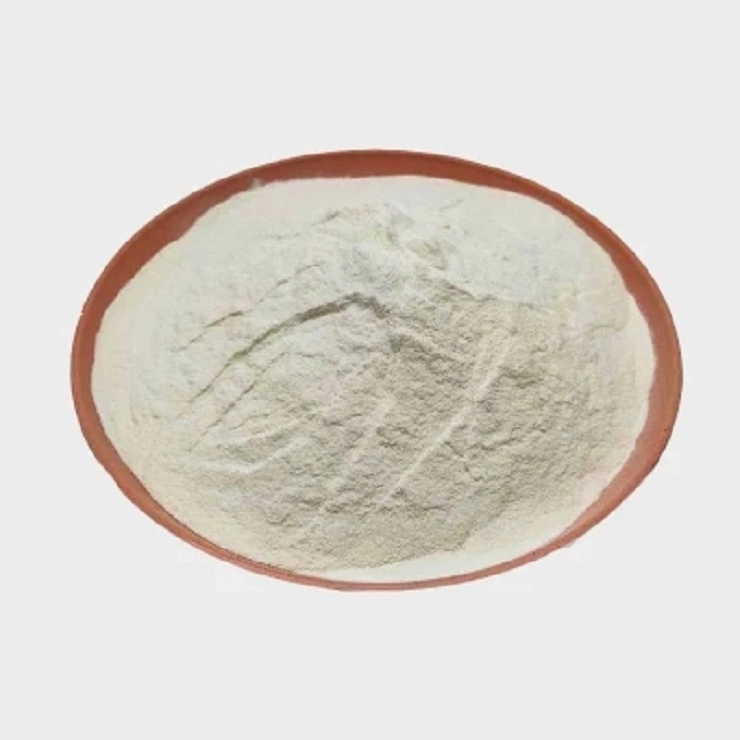 Xanthan Gum for Food Xanthan Gum for Food Thickening Xanthan Gum for Feed Industry Best Price Food Additives Manufacturer