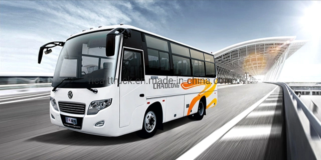 Double Inner Luggage Rack China Factory Customized Tourist Bus, Travel Agency Special Bus, 24-35 Seat Passenger Bus Best Selling in Nigeria