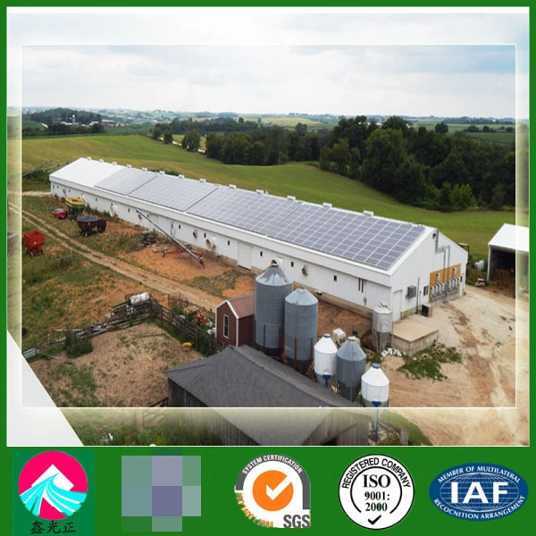 Customized Prefabricated Steel Structure Building Engineered Poultry Farm with CE, CSA&as Certificate High quality/High cost performance 