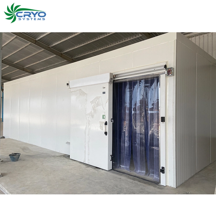 Cold Storage Room with Refrigeration Unit for Meat/Fish/Poultry/Vegetable/Fruit/Beverage