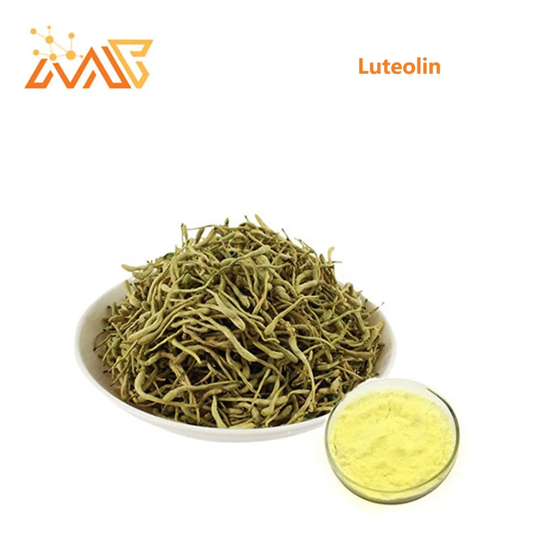 Supply Honeysuckle Extract Luteolin 98% 491-70-3