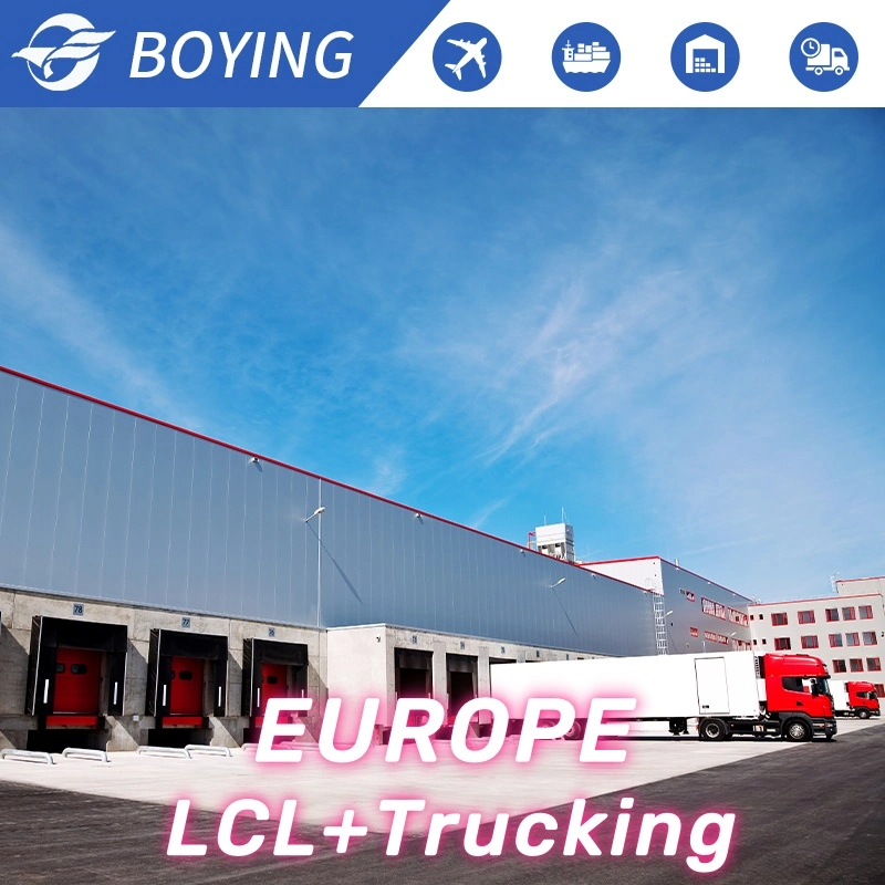 Import Export Products Logistics Sea Shipping Fret Maritime LCL Cargo Agent to UK USA Canada