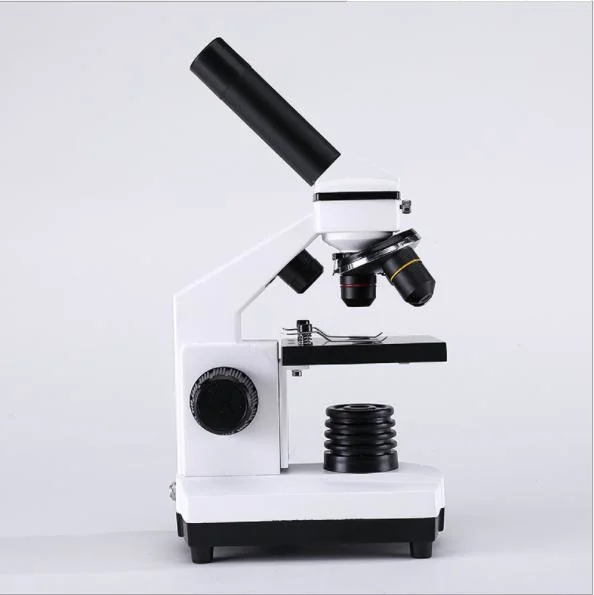 Ndlw Arm Neurosurgical Simul Focal Cover Glass Stereo Zoom Endo Fiber Optic USB Microscope
