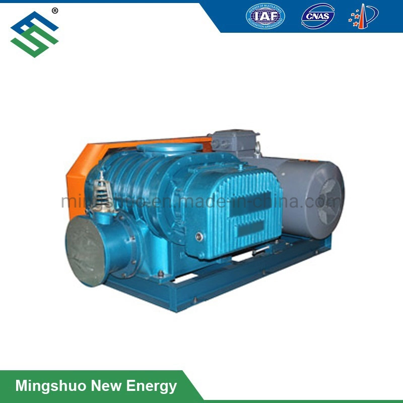 Belt Drive Roots Blower for Gas Delivery to Incinerator