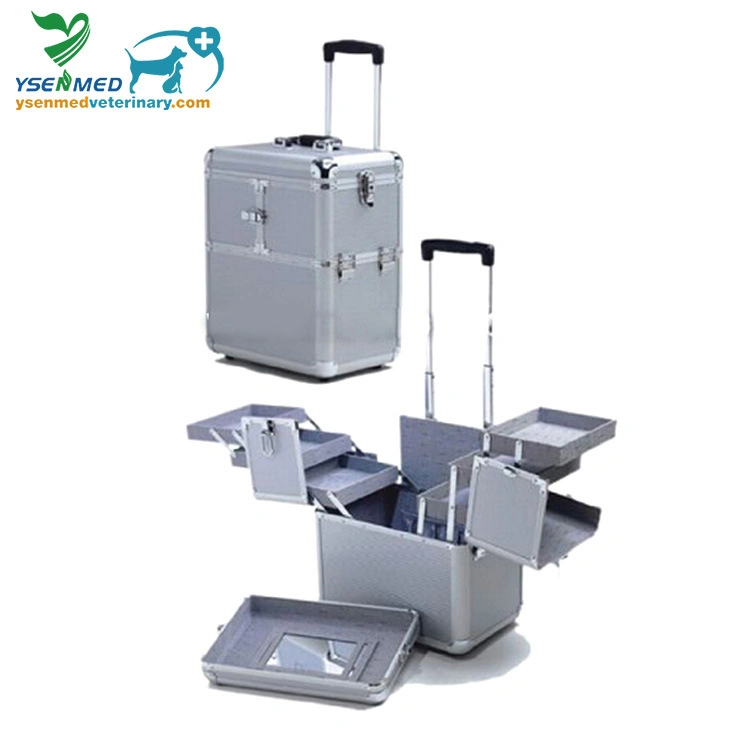 Equipo médico Caja de aluminio Ystk-603 herramienta Veterinaria Trolley Case