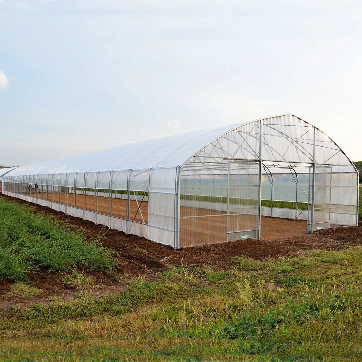 2023 Agricultura Single Span Poly Tunnel Greenhouse for vegetables/fruits/flowers