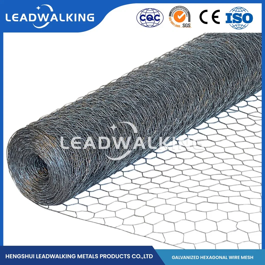 Leadwalking China Acero suave alambre tejido malla fábrica Acero inoxidable Material del alambre 16mm malla PVC Red hexagonal