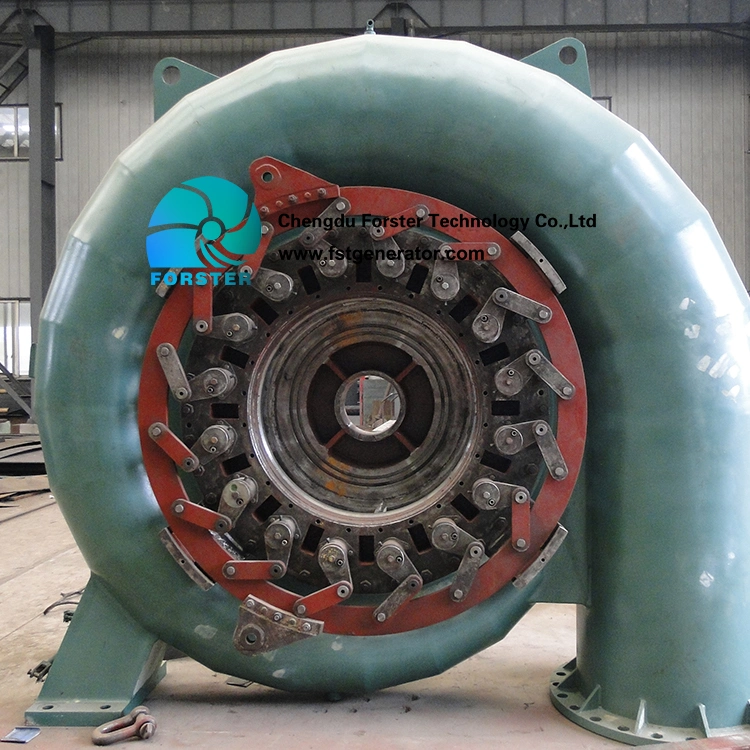 China Francis Hydrolic Turbine 1megawatt with Electric Generator