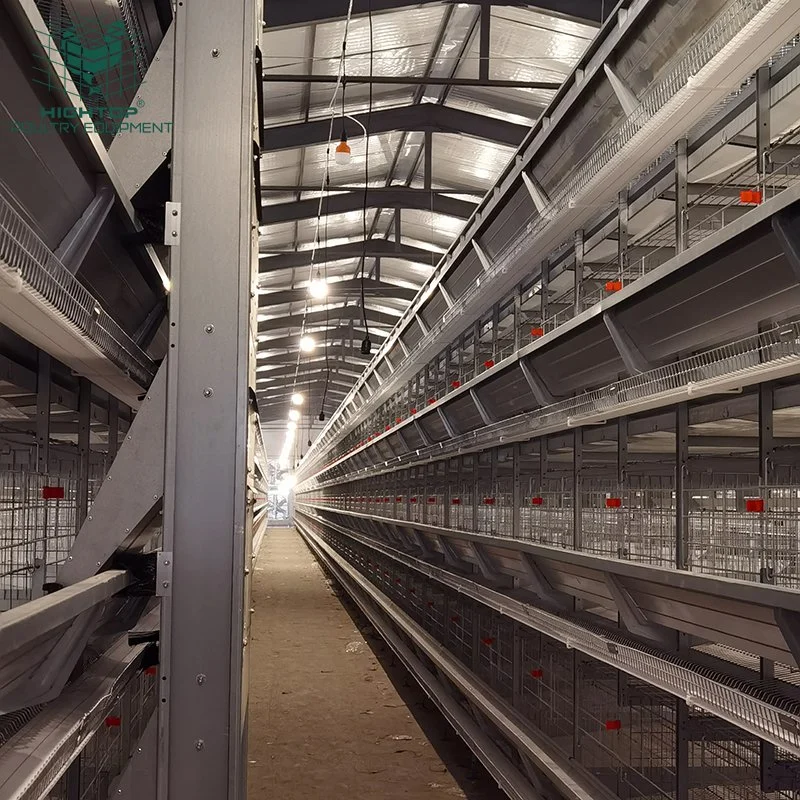 Poultry Equipment 4 Tiers H Type Layer Battery Cages in South Africa Philippines Farm