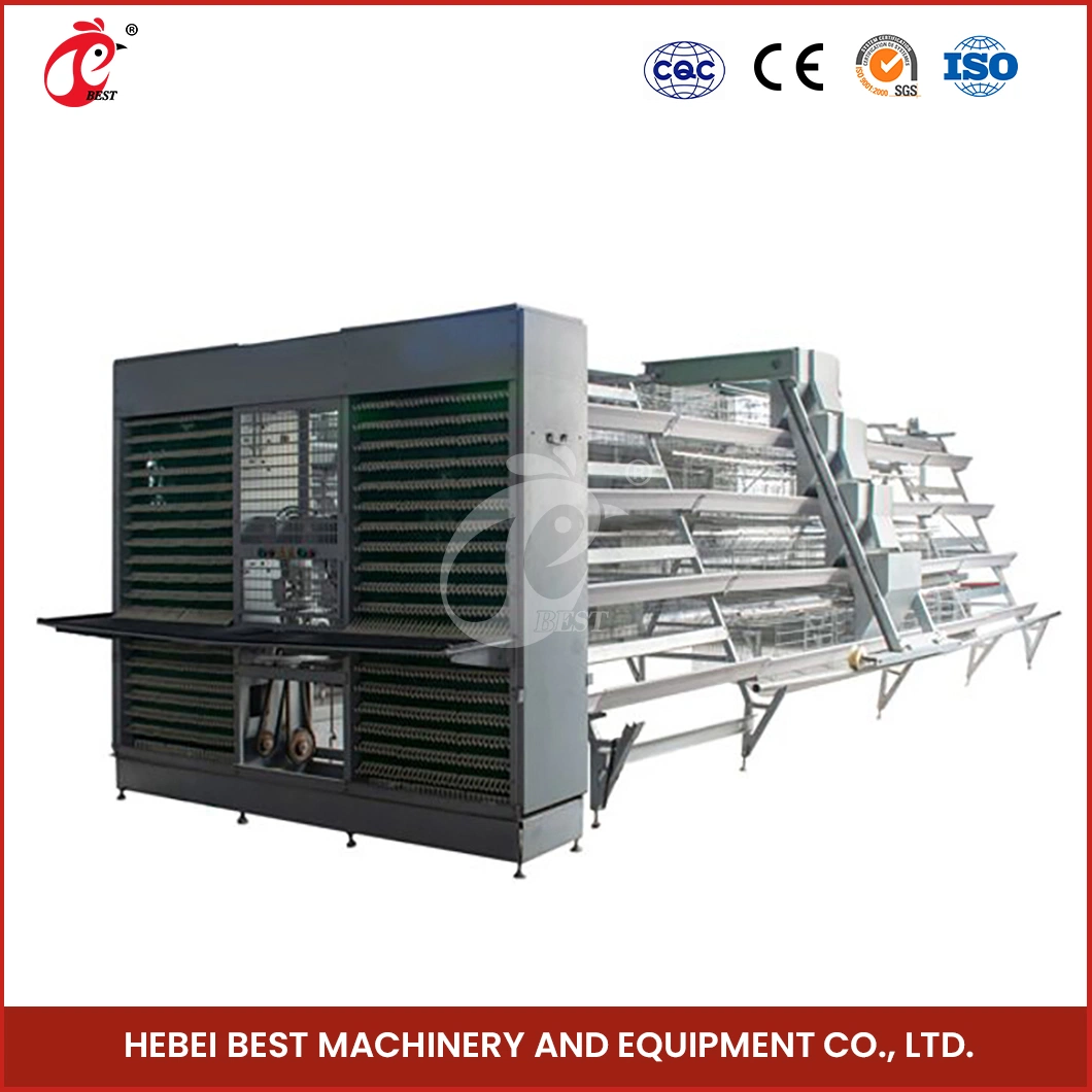 Bestchickencage Ordinary Type Layer Cage China 1000 Chickens Poultry Layer Cages Manufacturing Wholesale/Supplier 920*730*420mm Machine Size Chicken Cage for Layer