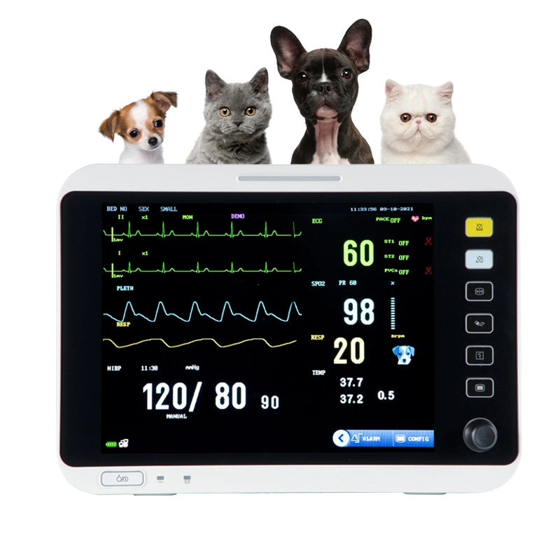 Portable Multi-Parameter Monitor de signos vitales del monitor de paciente manufactura Monitor veterinario