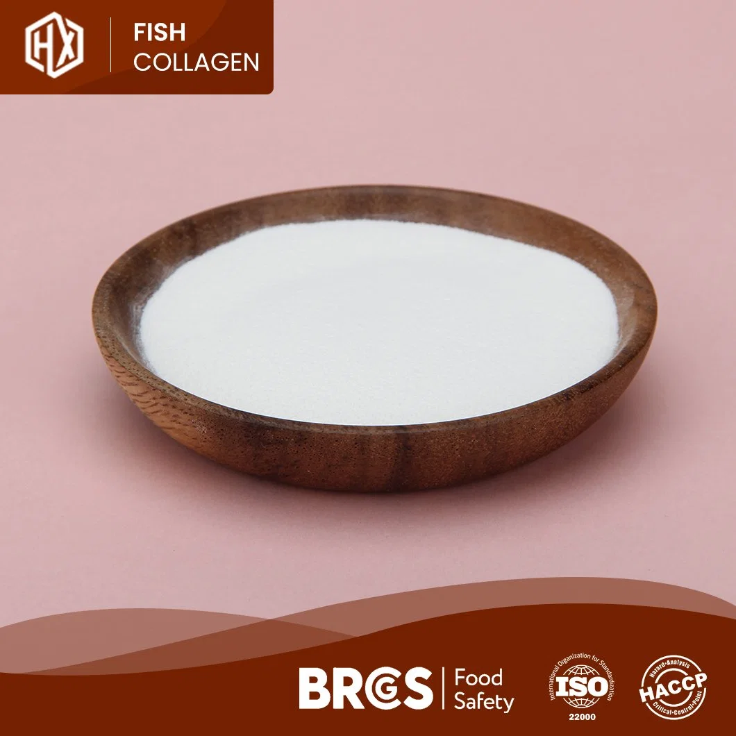 Haoxiang Cheap Price Best Selling Marine Hydrolyzed Collagen Protein Powder Freely Provided Sample China Health Care Tilapia Scale Collagen Peptide Powder