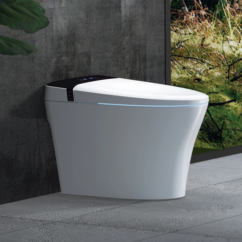 Modern Ceramic One Piece Toilet Bathroom Smart Toilet Set