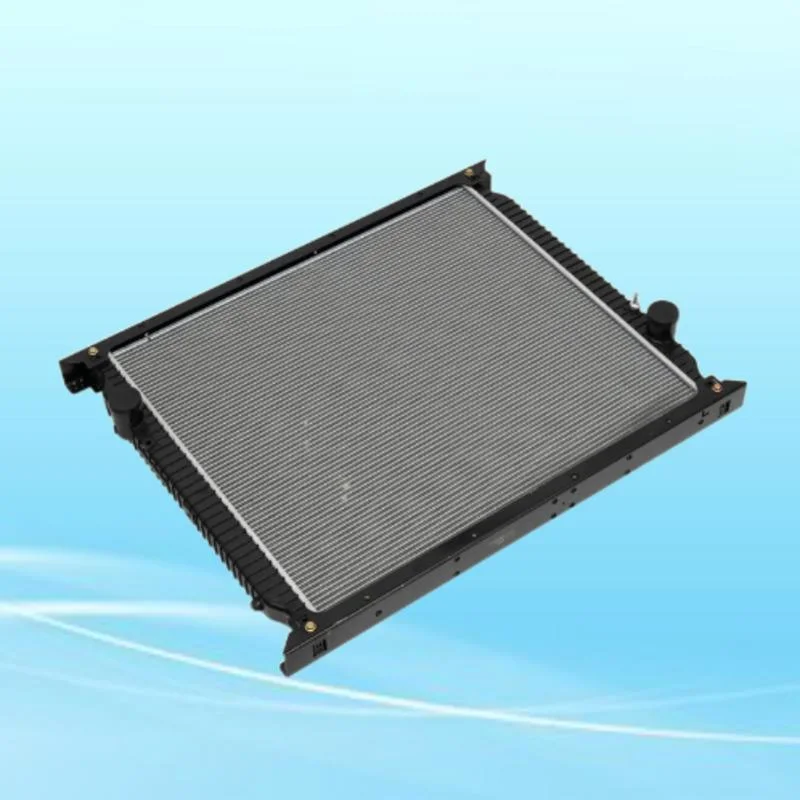 Customize All Kinds of Models Computer Water Cooling Radiator Wg9725530276 Wg9725530277 Is Suitable for Shacman Truck