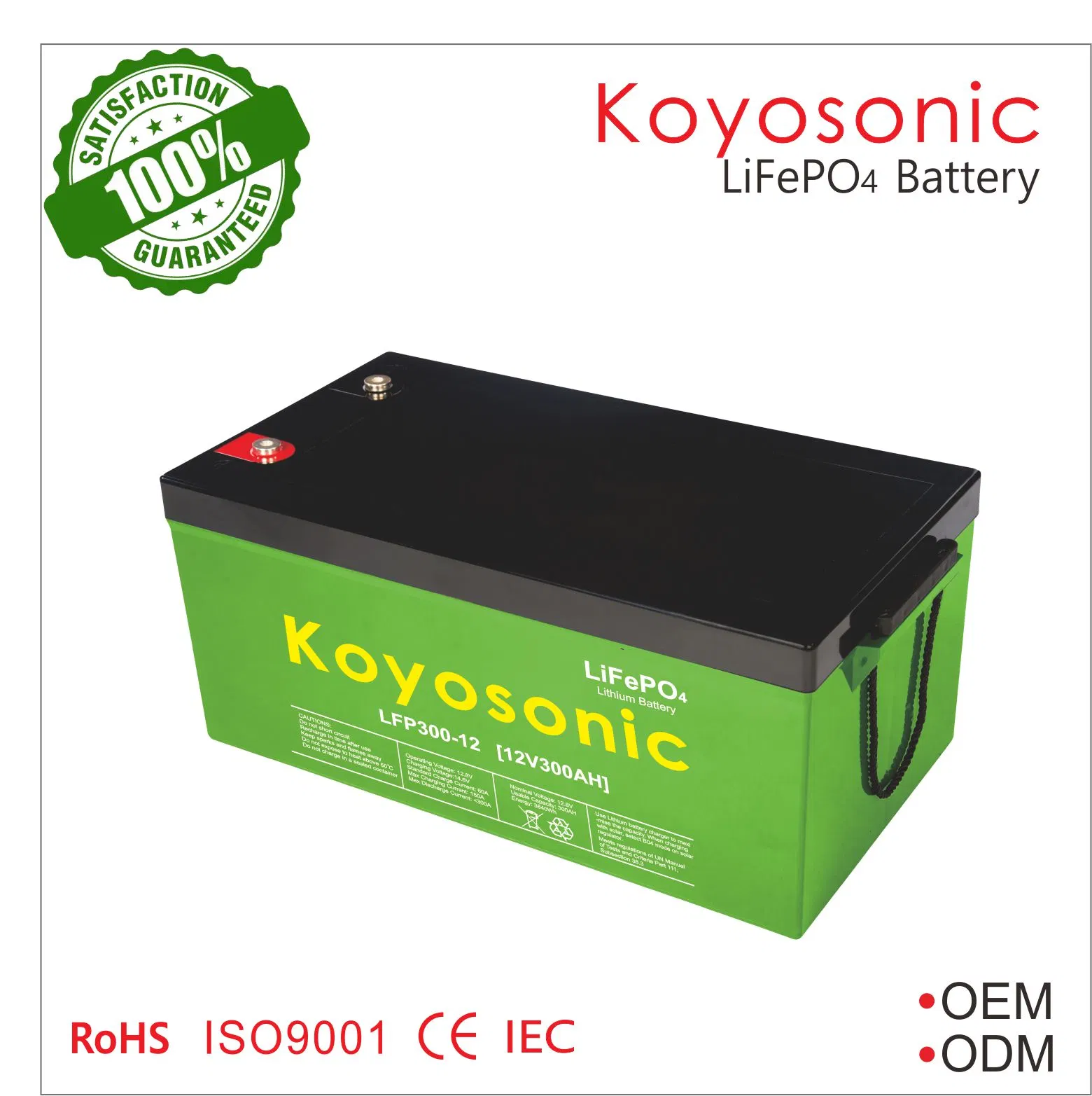 بطارية LFePO4 Lithium Ion LFPO4 الصغيرة ذات تقنية Bluetooth® 12V5ah LFeb4 للمصابيح الشمسية