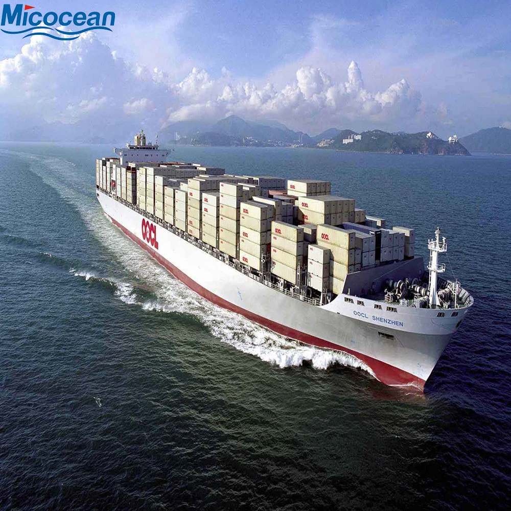 International Logistics Service Sea Freight Transportation Shipping Cargo From Qingdao/Shanghai to USA