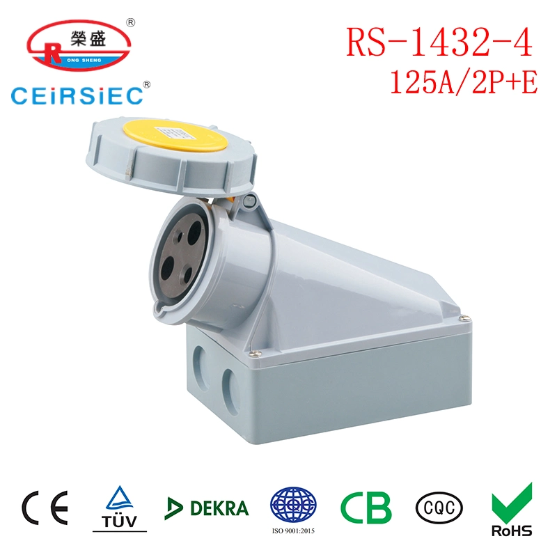 125A 110V Industrial Connector for European Standard Nylon PA6 Moving Socket for Outer Door