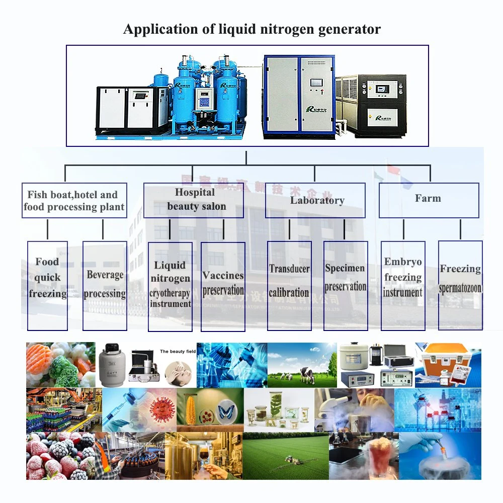 Générateur Chenrui LN2 Générateur d'azote liquide production d'azote liquide En vente