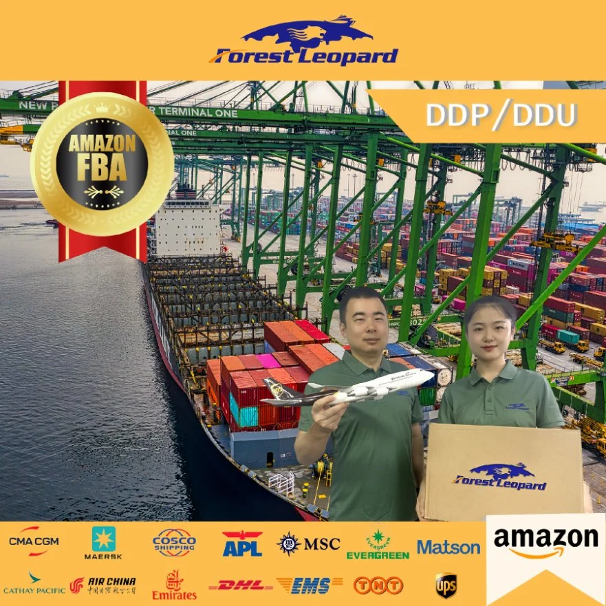 Cheap DDP Sea Shipping Best Freight Forwarders From China to Amazon Fba England, Germany, France