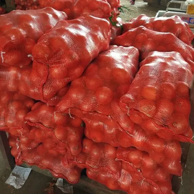 Fresh Yellow Onion/Onions Exporter