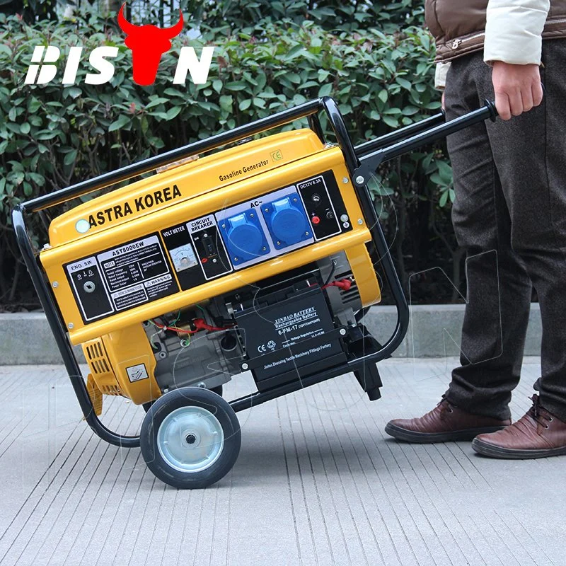 Bison (China) BS6500h (H) 5kw 5kVA Kupferdraht Fabrik Preis Erfahrener LPG-Generator