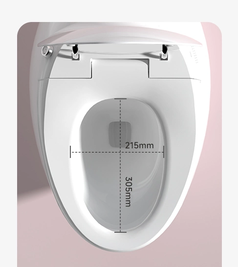 Versteckter Wassertank Europäische Wand Montiert Intelligente Toilette Wash Down Elektrische Bidet