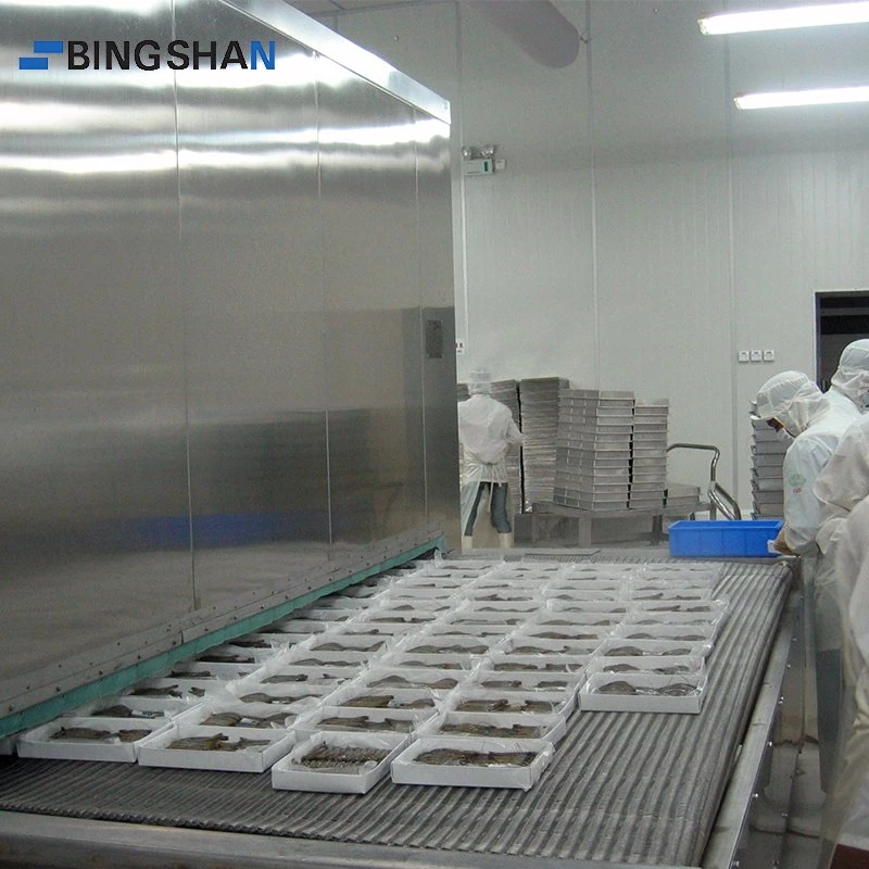 Factory Customized Quick IQF Blast Tunnel Freezer for Shrimp/Seafood/Meat/Fruit/Vegetable