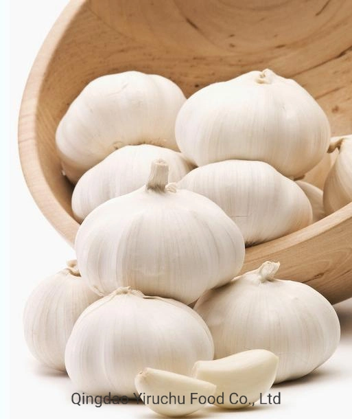 Direct Supply From Chinese Origin, High-Quality Garlic