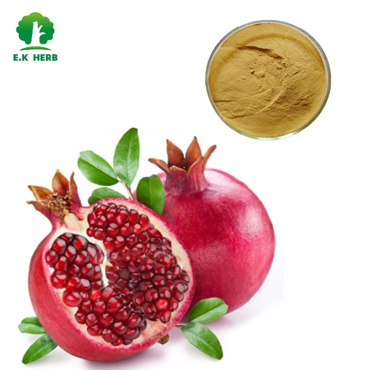 E. K Herb Natural Black Currant Extract Blushwood Berry Mangosteen Extract Ellagic Acid 40% 45% 90%Polyphenol 40% 60% Punicalagin 20%-40% Pomegranate Extract