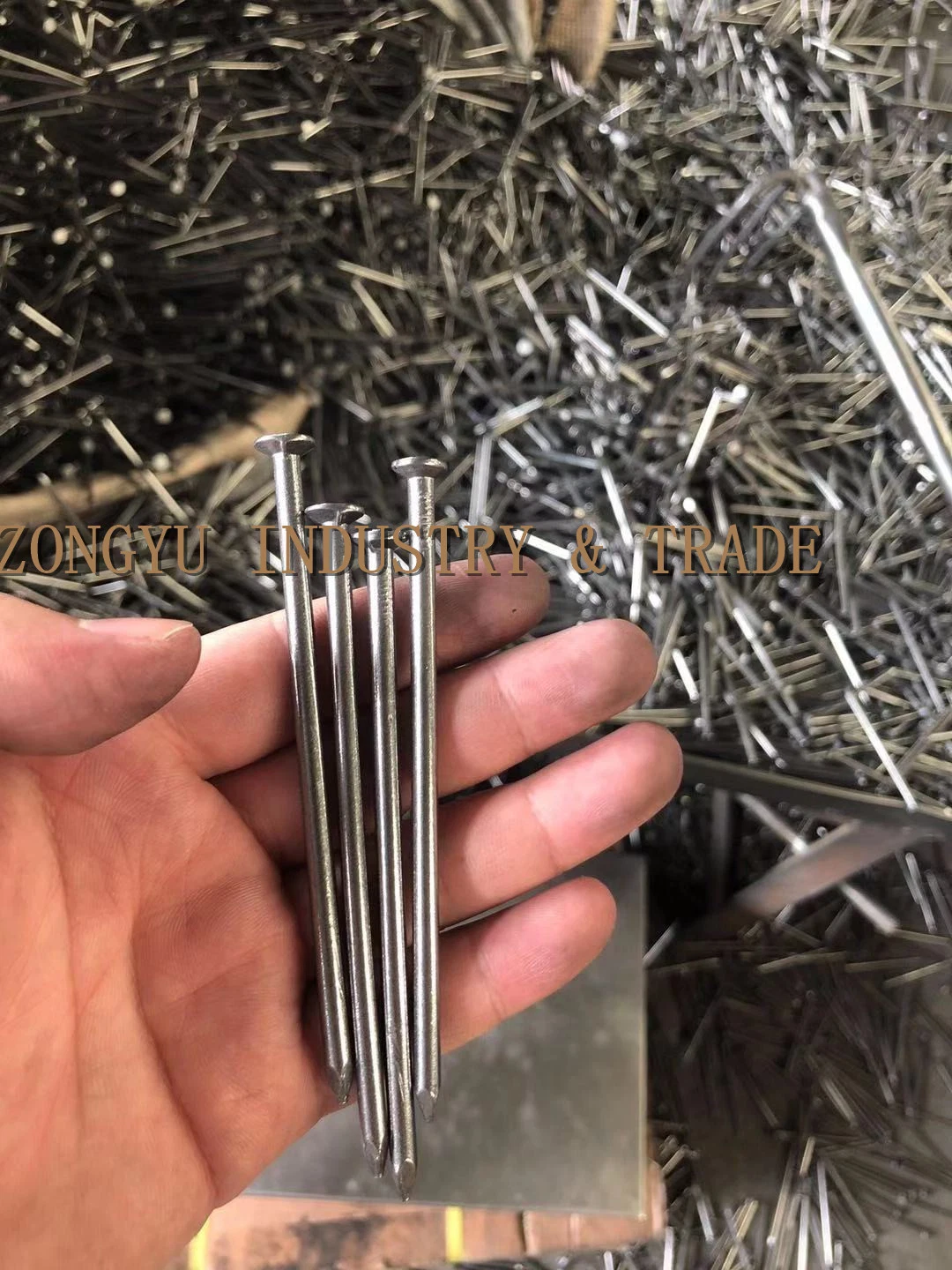 Building Hardware Common Wire Nail for&#160; Somalia Market