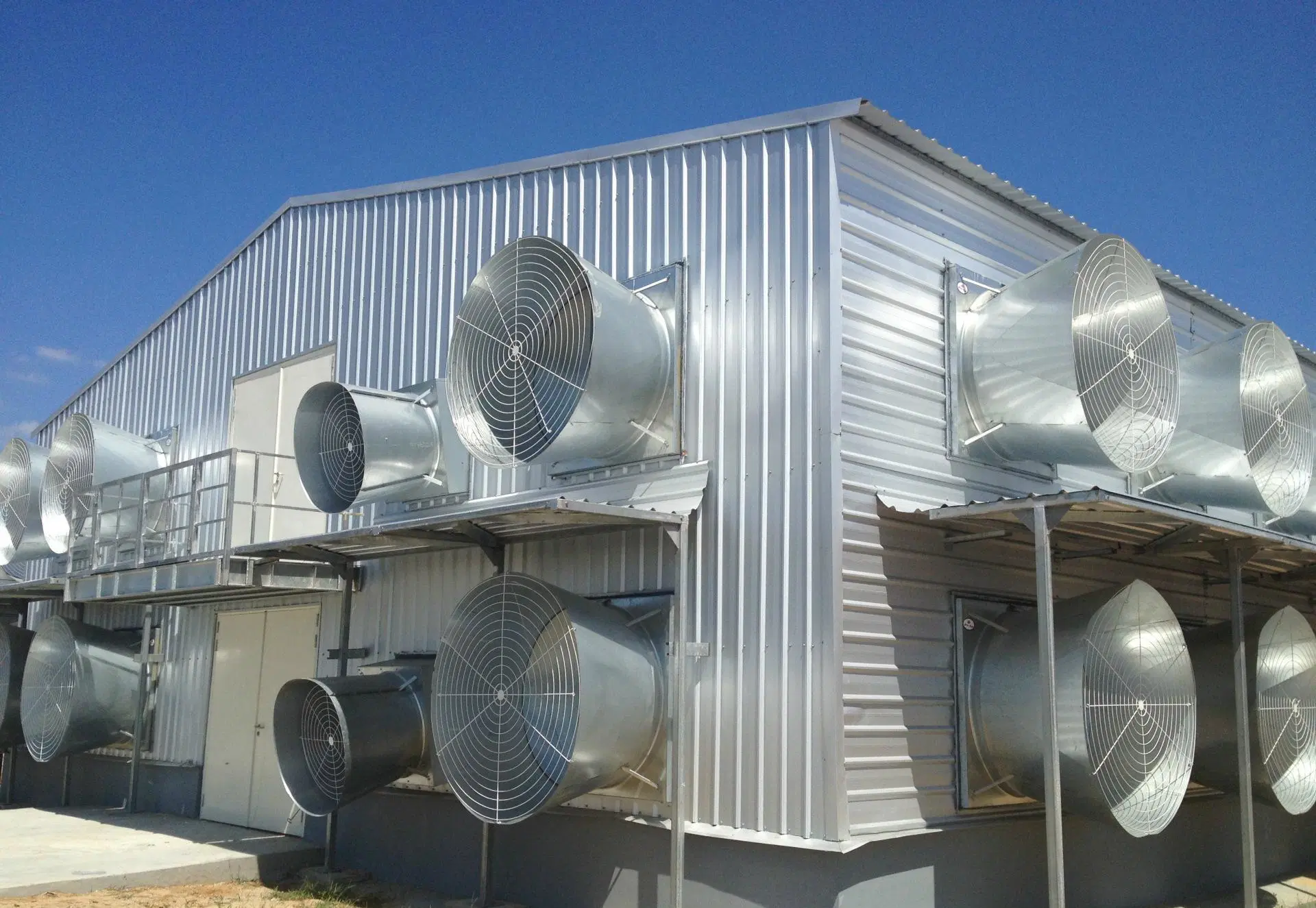 Poultry House with Full Set Chicken Farm Equipment