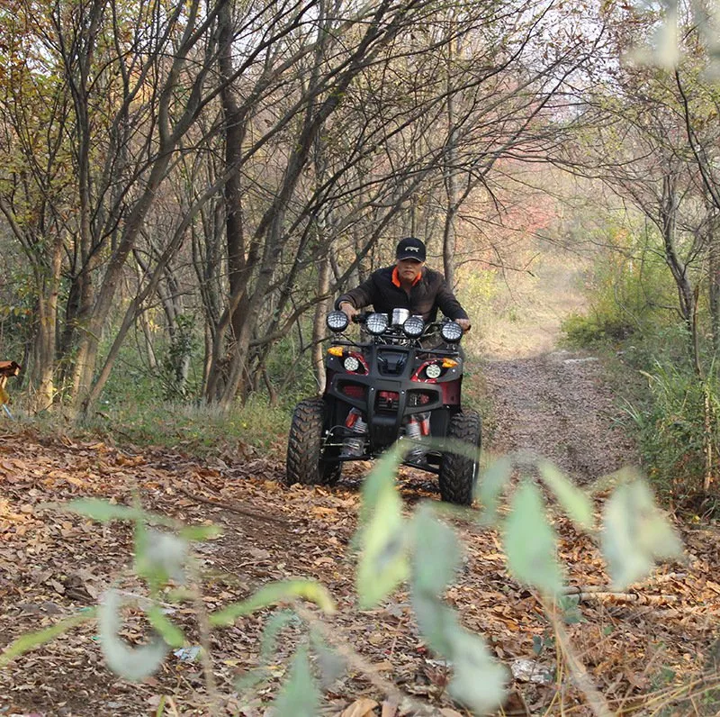 250cc 4 ruedas para adultos Vehículo todo terreno 350cc 4X4 Quitanieves barato Cuatriciclo de gasolina Quad X Taiwan 125 Eje trasero ATV chino